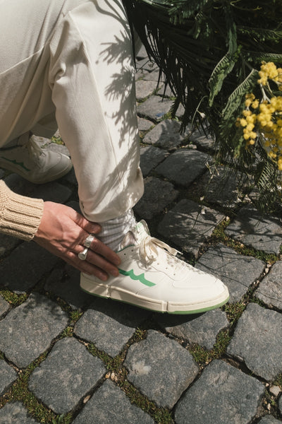 The Surfer Greyhound The Surfer Greyhound