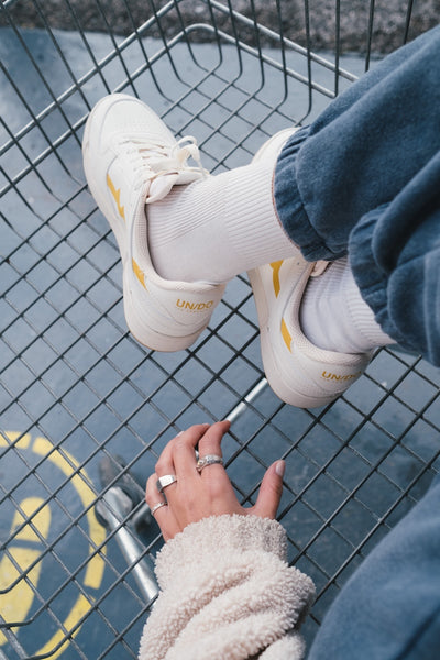 The Surfer Greyhound The Surfer Greyhound