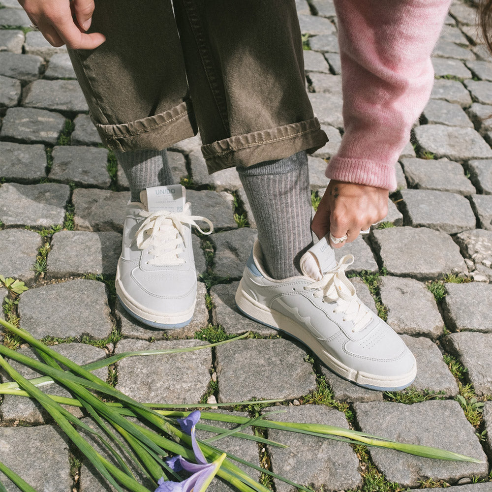 The Surfer Greyhound